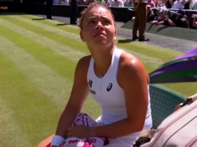 Wimbledon Match Halted as Player Asks Umpire for Ice Towel for Ill Fan