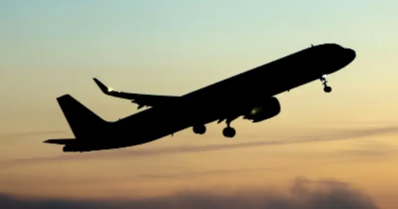 Woman Dies After Last-Minute Flight Swap in 1989 United Crash
