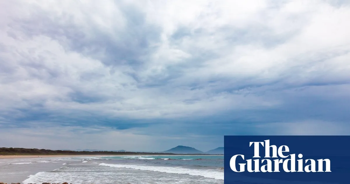 Woman Killed in Bull Shark Attack at New South Wales Beach