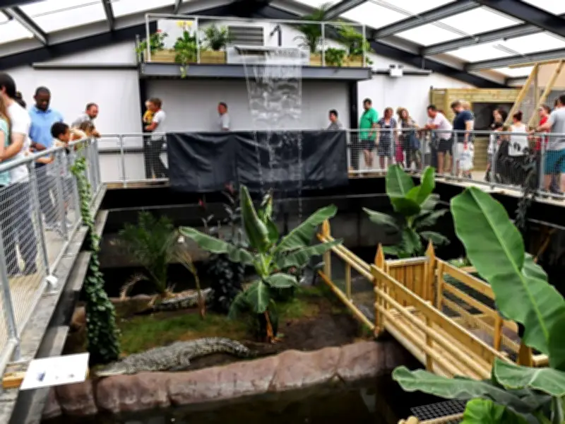 Zoo Owners Speak Out After Boy, 3, Thrown into Crocodile Enclosure