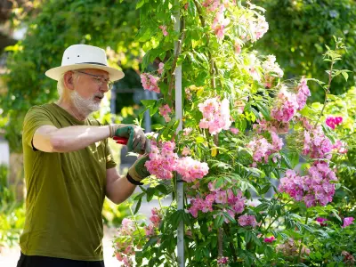 6 Plants Gardeners Must Prune in July for Another Flush of Blooms