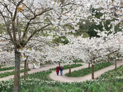 Alnwick Garden CEO Teases Next Chapter After 25 Years of Growth