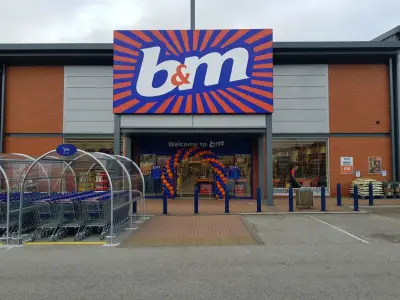 B&M's £8 Large Urban Basket with Lid: Neat and Organised Home Solution
