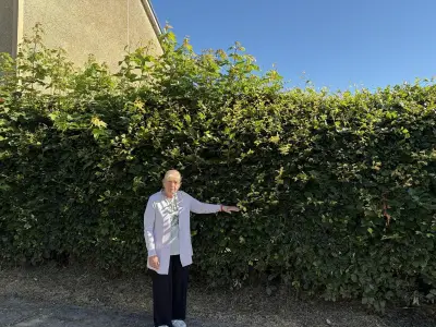 Clydebank woman fears safety due to overgrown hedge, pleads with council