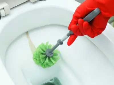 Remove Toilet Limescale in 15 Minutes With Citric Acid Natural Remedy