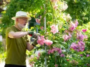 6 Plants Gardeners Must Prune in July for Another Flush of Blooms