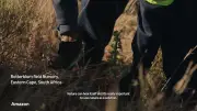Amazon Funds 180M Shrub Planting in South Africa for Net-Zero