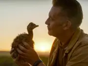 Chris Packham's Evolution: A Modern Take on Attenborough's Life on Earth