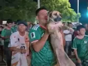 Dog missing for month found partying with Mexico World Cup fans