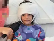 Family sleeps in car after daughter attacked by pack of dogs in California