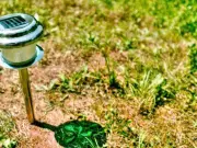 Make Solar Garden Lights Shine Brighter With 1 Easy July Task