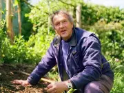 Monty Don's June Gardening Task for Best Summer Fruit