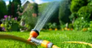 New Hosepipe Ban in UK as Temperatures Set to Reach 34C Next Week