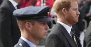 Prince William Refuses to Intervene in Harry's Security Battle, Expert Says