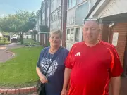 Seagulls tear into bins in Seaforth as residents reach breaking point