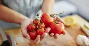 Tomato Farmer Reveals Best Storage for Flavour and Texture