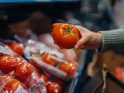 Tomato Farmer Reveals Best Storage Spot for Fresher Tomatoes