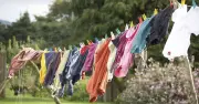 UK Households Urged to Ditch Washing Lines to Ease Hay Fever Symptoms