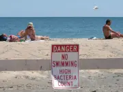 US East Coast Beaches Face Faecal Bacteria Warnings Amid Heatwave