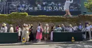 Woman Wakes at 4am for Wimbledon Queue, Falls Asleep During Match